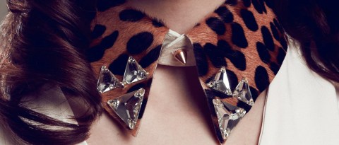 Eleven Objects Collars