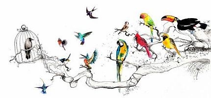 birds - birdcage - illustration