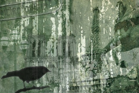 Bird Collage Layers Textures