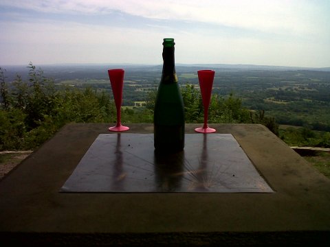 Champagne - Blackdown Surrey Hills - Birthday Celebratory Walk