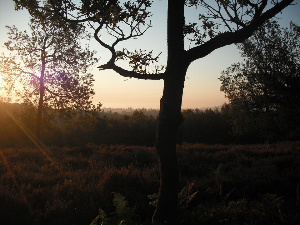 Blackdown hills, Surrey