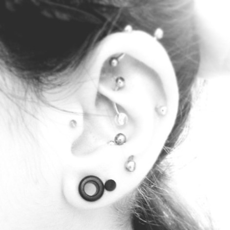 Ebony Omerican flatty tunnel