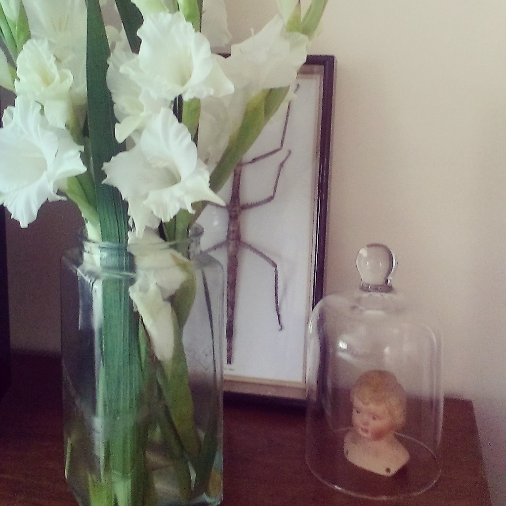 Gladioli IMG_20140906_165850