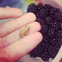 Hello little frog man IMG_20140906_183748