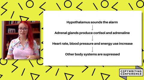The hypothalamus tells the adrenal glands to produce cortisol and adrenaline, which elevates heart rate and blood pressure. Other body systems are surpressed to focus on the threat. Exhausting!