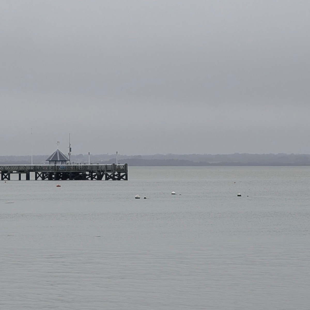 Finding my true&nbsp;form