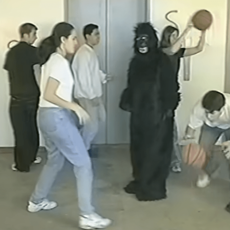 Diverting the pathways society laid for&nbsp;us