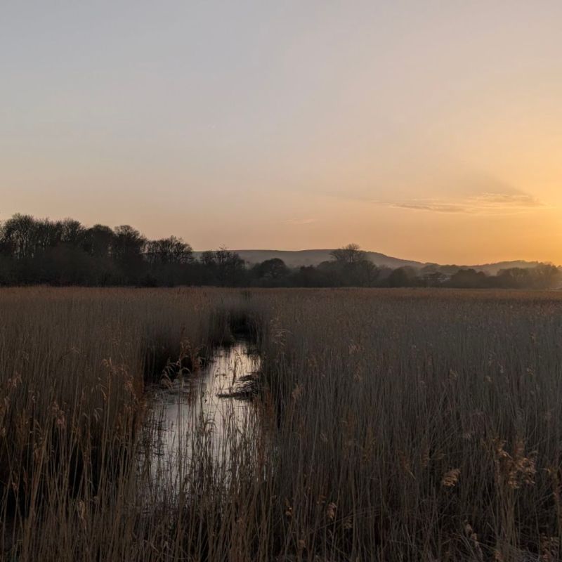 No world for a&nbsp;child