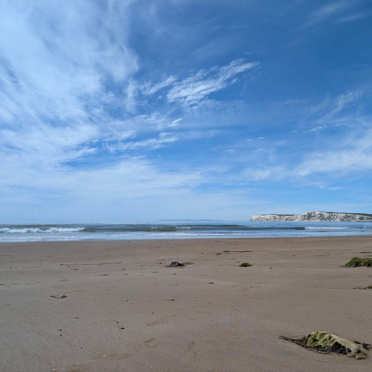 The sea